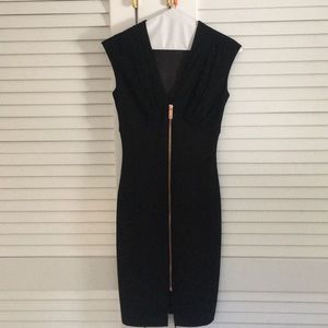 Ted Baker cocktail dress. Worn once